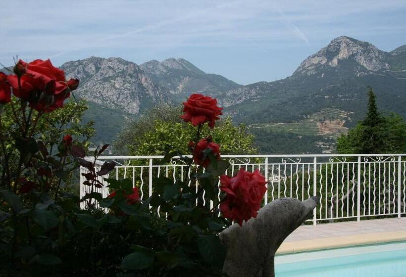 住宿加早餐 L'aleandra