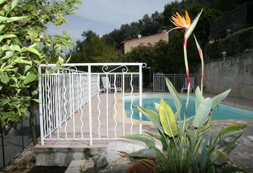 住宿加早餐 L'aleandra