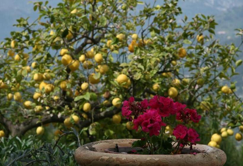 住宿加早餐 L'aleandra