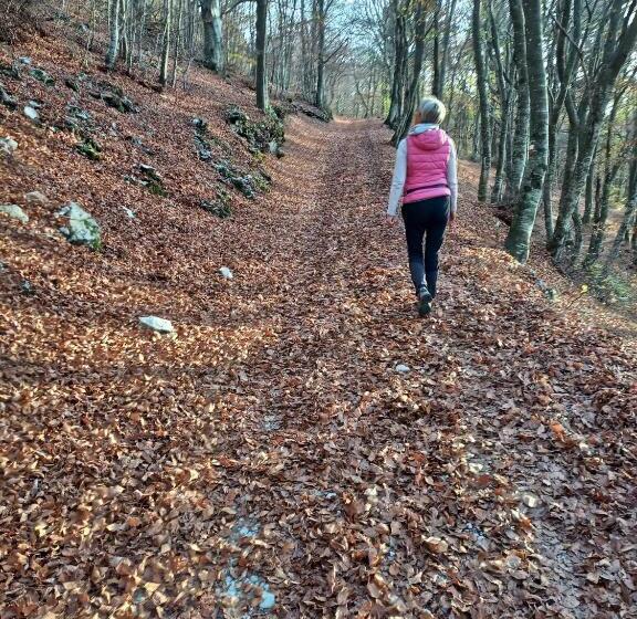 住宿加早餐  La Terrazza In Collina
