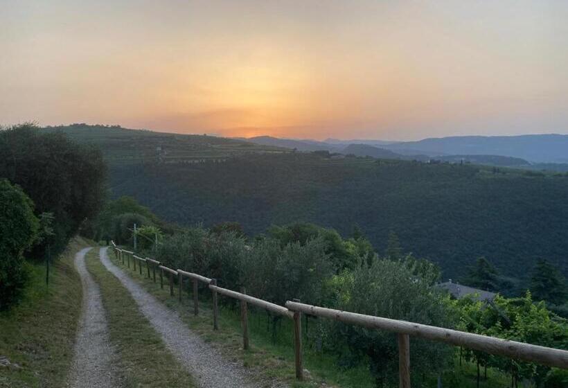 住宿加早餐  La Terrazza In Collina