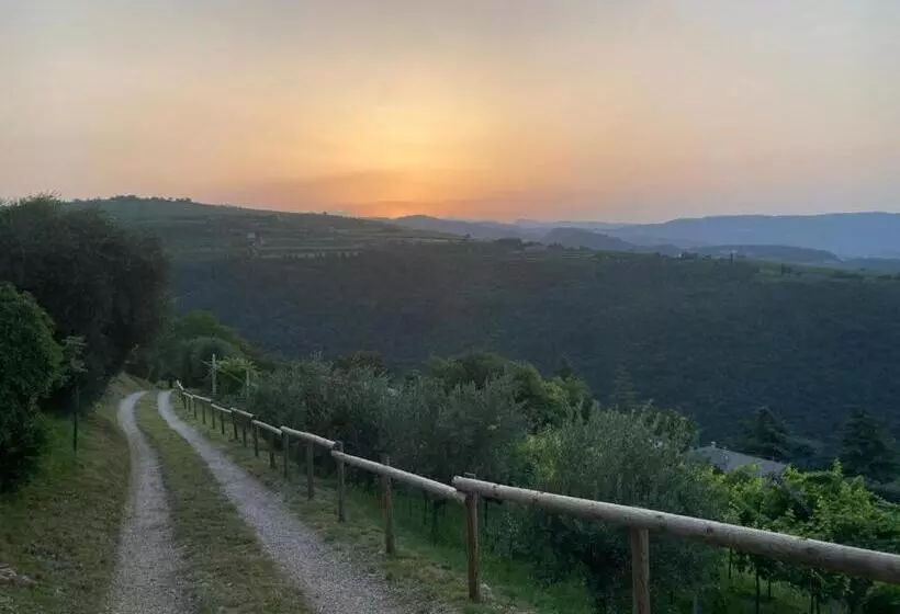 Aamiaismajoitus (B&B) La Terrazza In Collina
