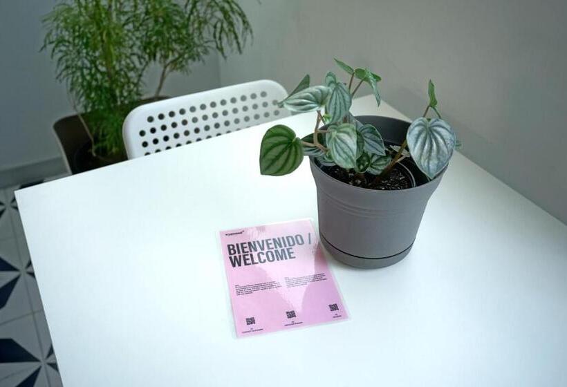 Casa Contemporánea By Wynwood House