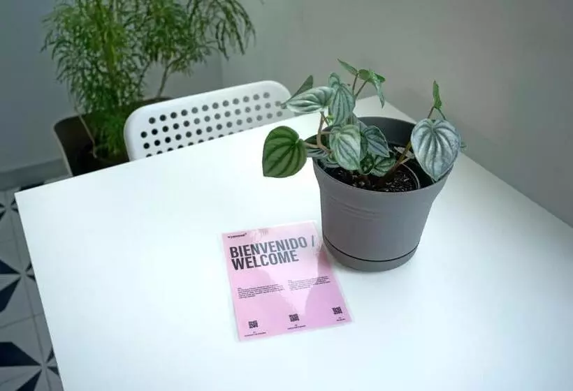 Casa Contemporánea By Wynwood House