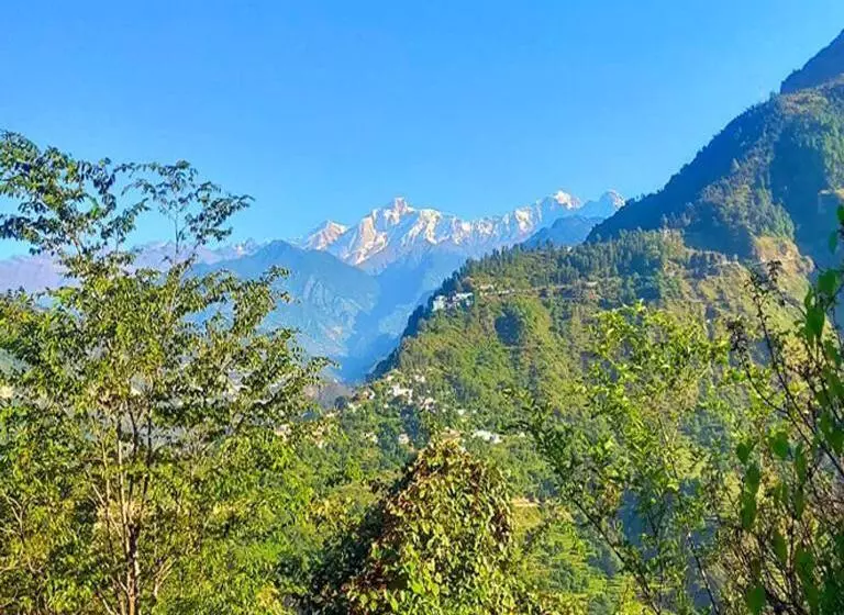 ホテル The Himalayan View Resort