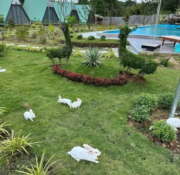 Lucky Star Resort