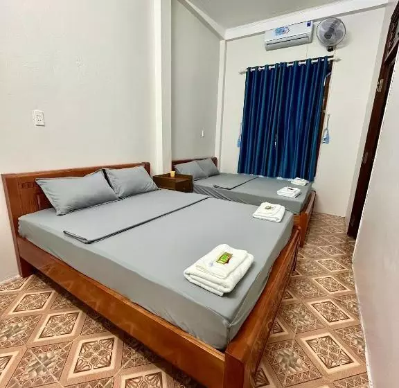 هاستل Trust House