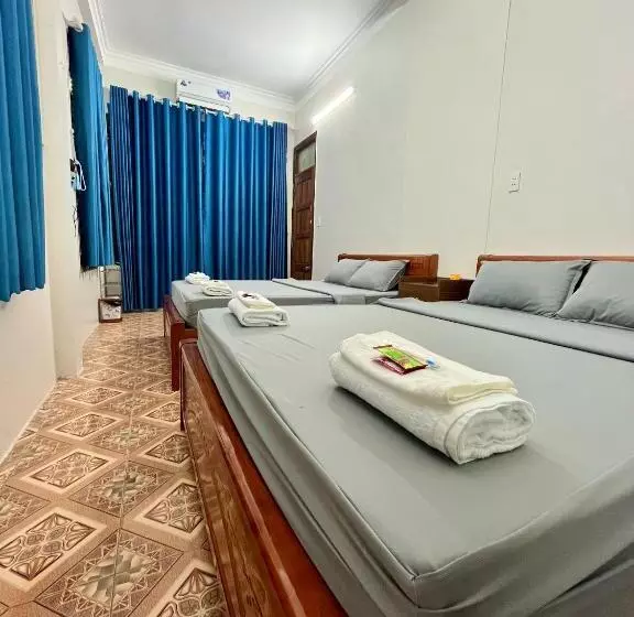 هاستل Trust House