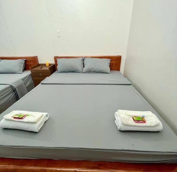 هاستل Trust House
