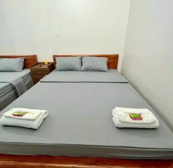 هاستل Trust House