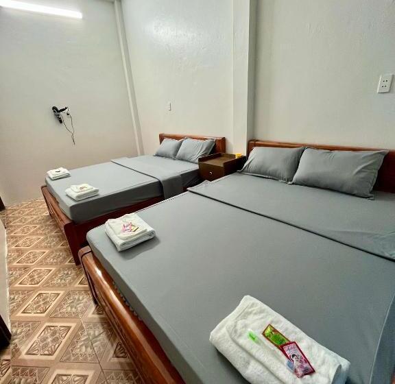 هاستل Trust House