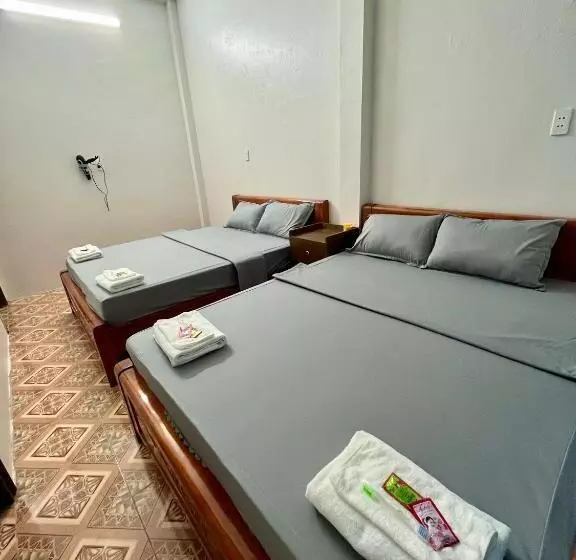 هاستل Trust House