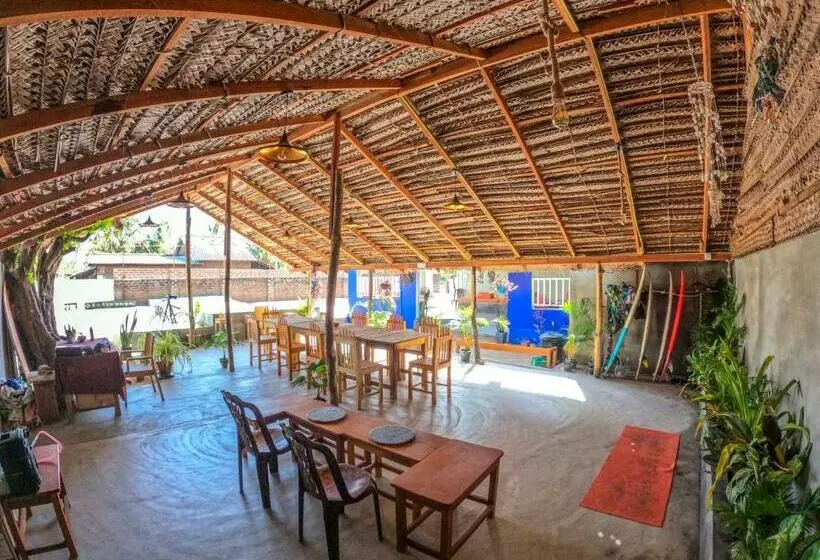 Hangten S Surf Skate Hostel