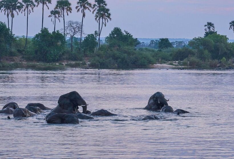 پانسیون Room In Villa Zambezi Family Lodge Leopard Room