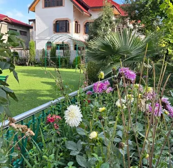 The Local B&b