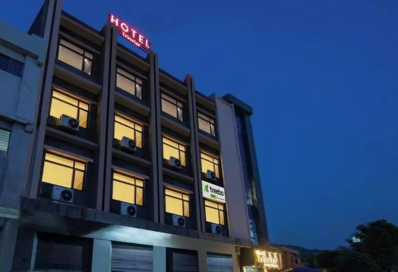 Hotel Treebo Trinetar International