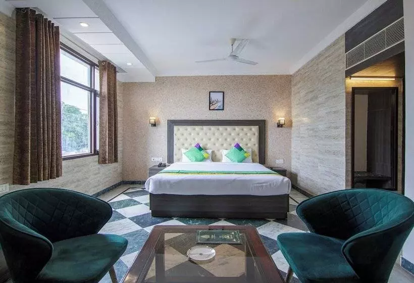 Hotel Treebo Trinetar International