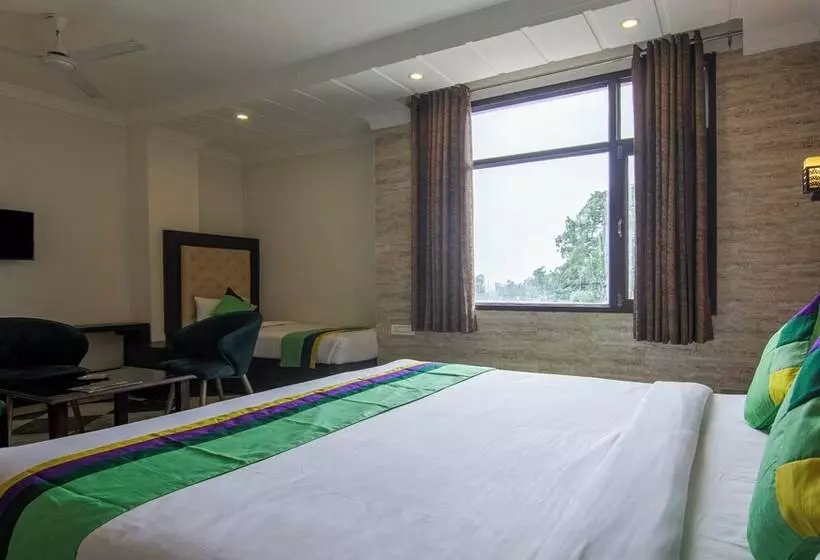 Hotel Treebo Trinetar International