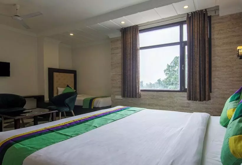 Hotel Treebo Trinetar International