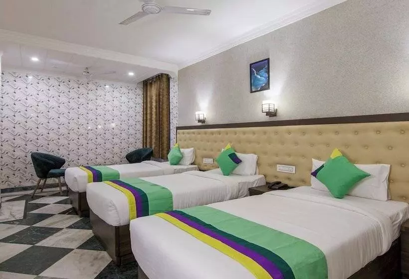 Hotel Treebo Trinetar International