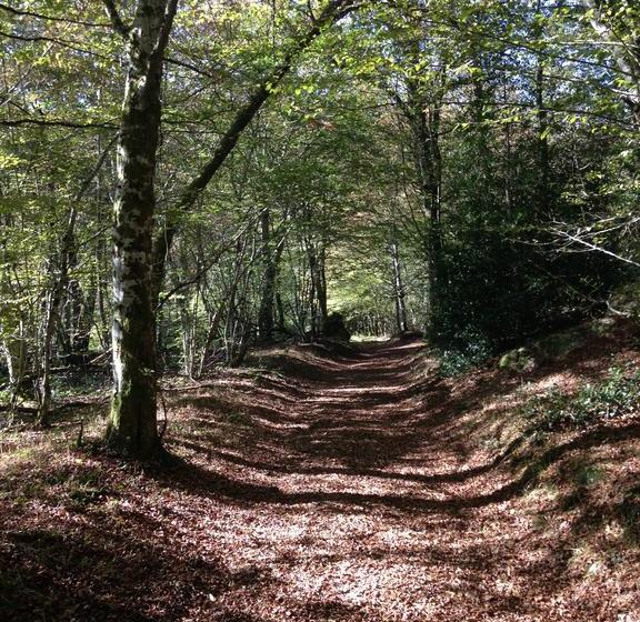 호텔 Borne Imperiale