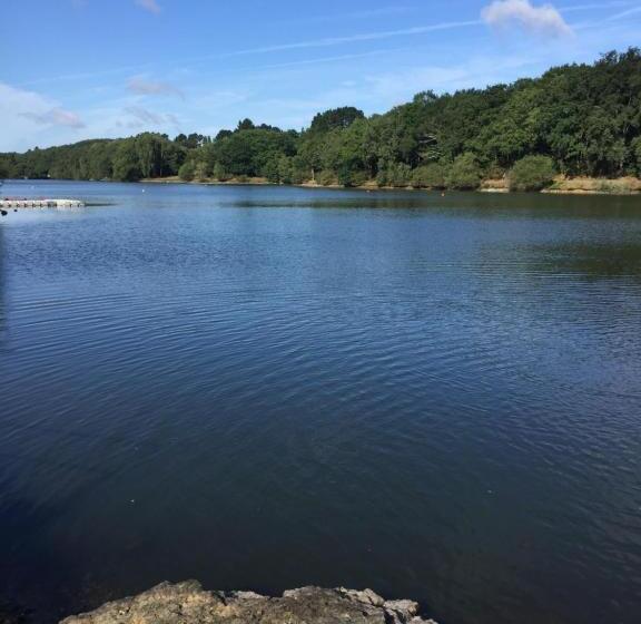 호텔 Hôtel Restaurant Logis Coté Lac