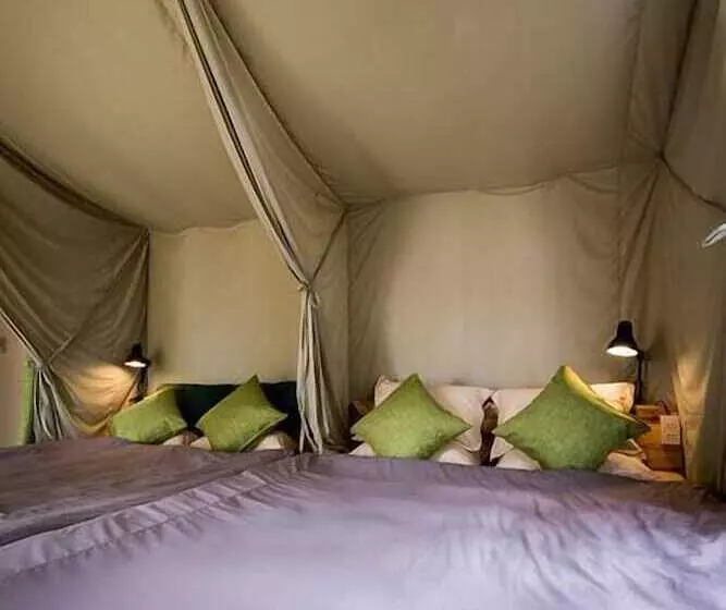 هتل Yolo Camping House   Hostel