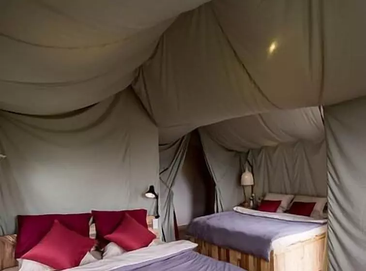 هتل Yolo Camping House   Hostel