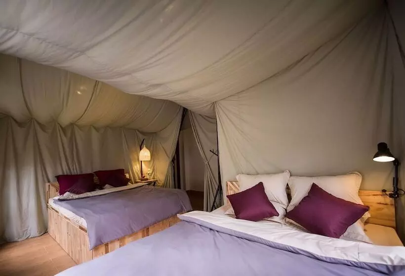 هتل Yolo Camping House   Hostel