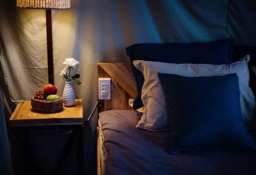 هتل Yolo Camping House   Hostel