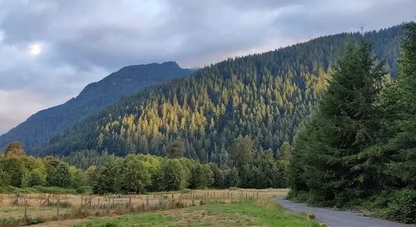 Elk Meadow