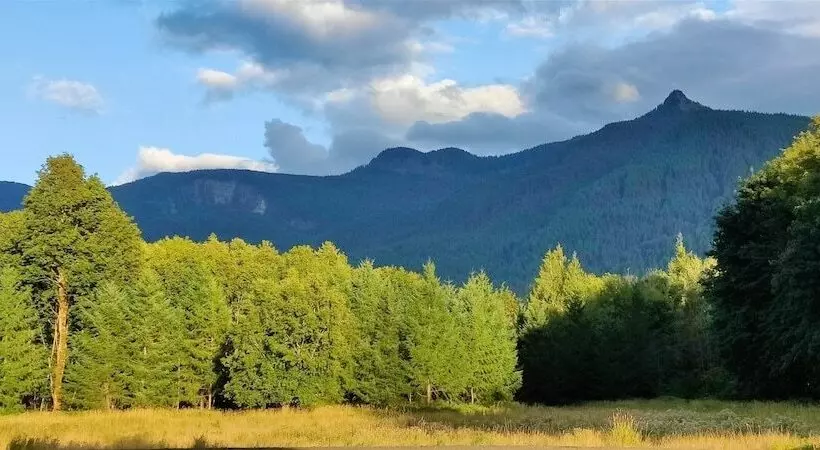 Elk Meadow