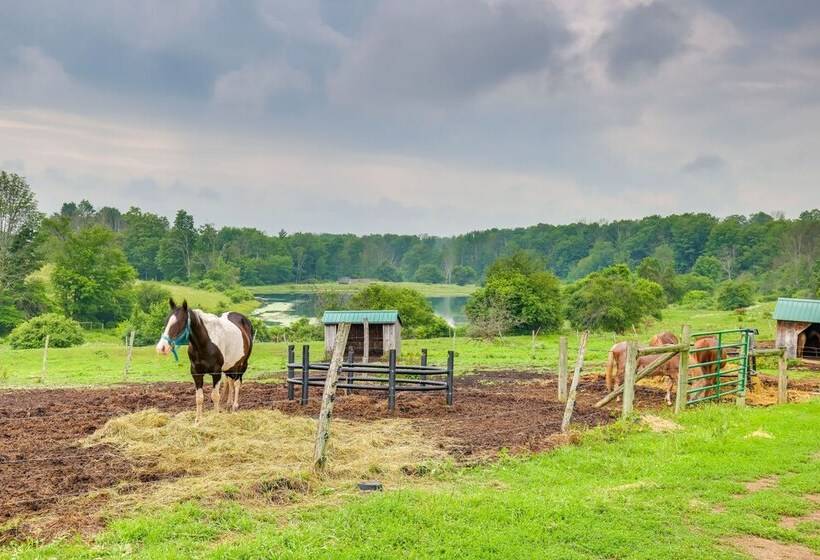 Tranquil Middlebury Center Cabin W/ Mountain Views