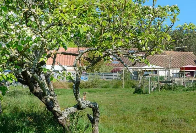Bed and Breakfast La Chevrerie