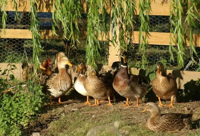 Bed and Breakfast La Chevrerie
