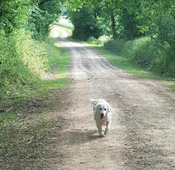 住宿加早餐  La Chevrerie