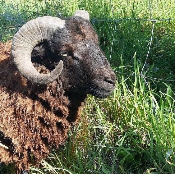 住宿加早餐  La Chevrerie