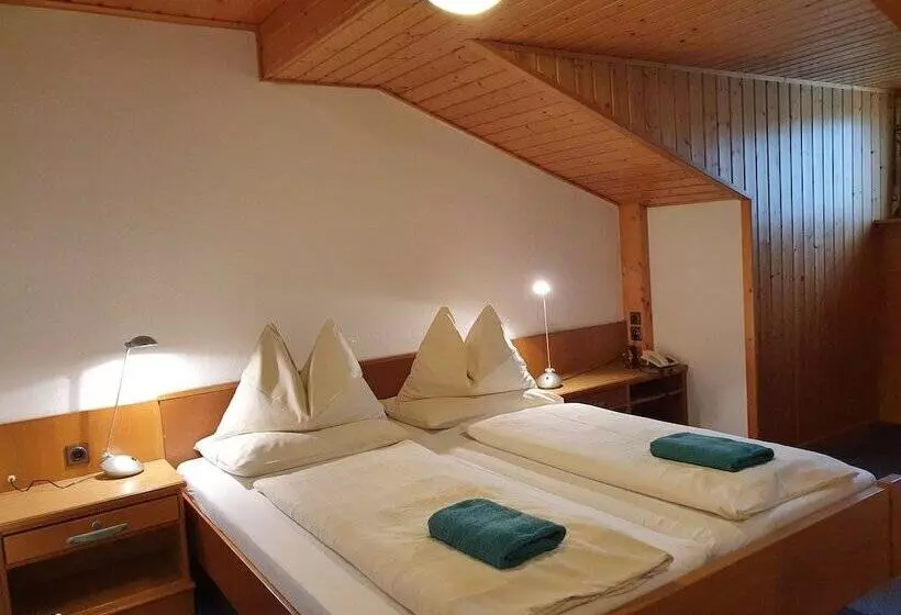 ホテル Berghof Mitterberg