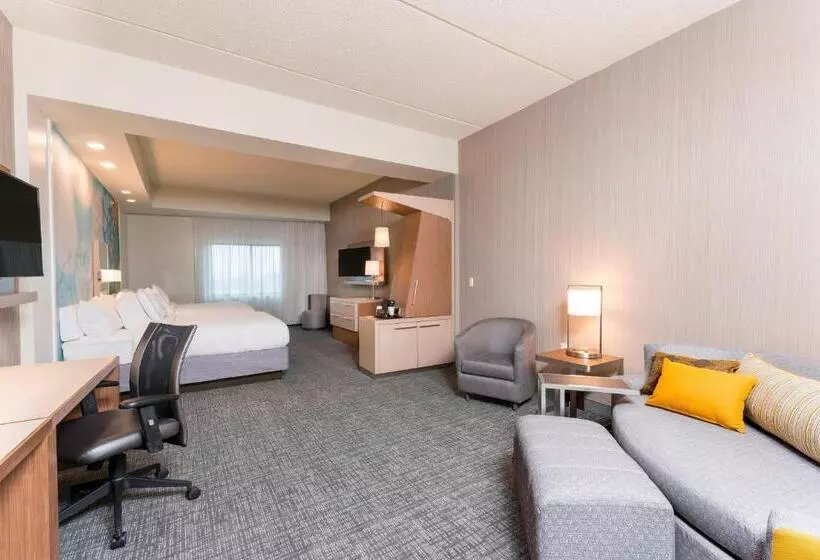 ホテル Courtyard By Marriott Mt. Pleasant At Central Michigan University