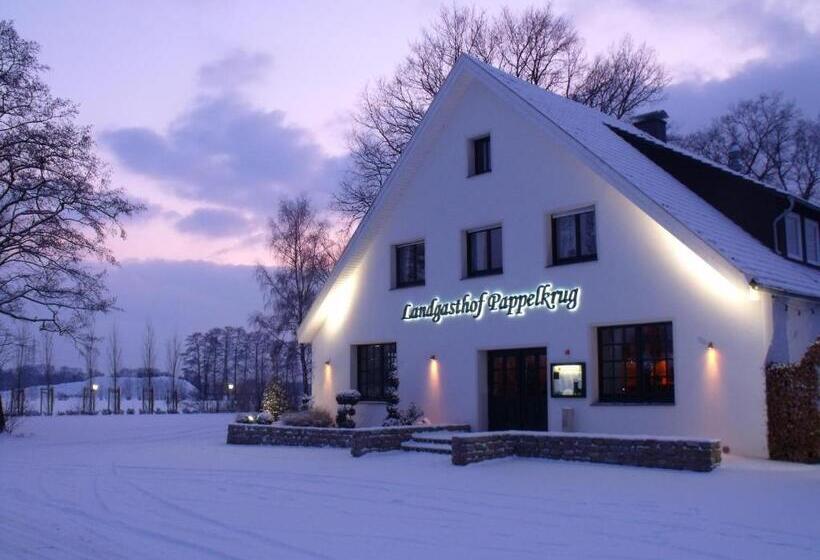 Отель Landgasthof Pappelkrug