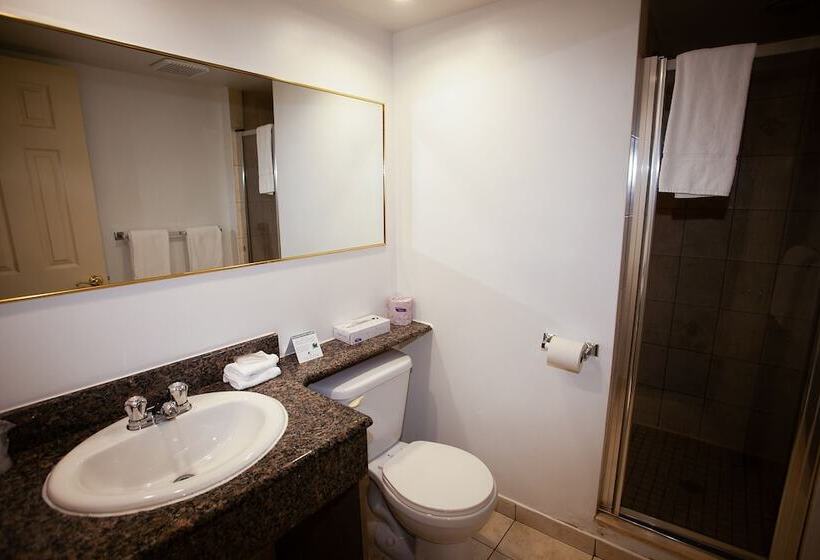 فندق Newstar Montreal