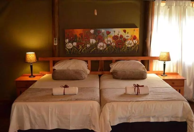 ペンション Acasia Guest Lodge