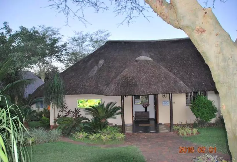 ペンション Acasia Guest Lodge