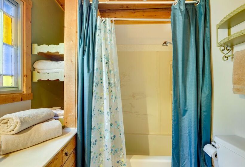 Scenic Mount Sopris View: Historic Alpine Cabin!