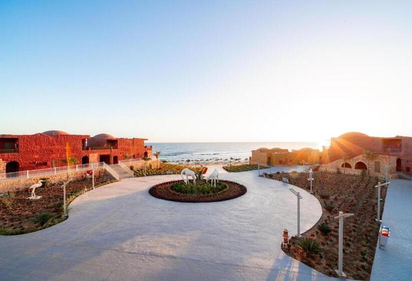 هتل Pickalbatros Vita Resort   Portofino Marsa Alam