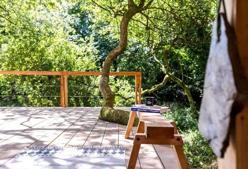 6 Person Cabin, Surrounded By Nature In Tintagel