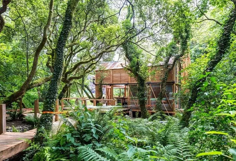 6 Person Cabin, Surrounded By Nature In Tintagel