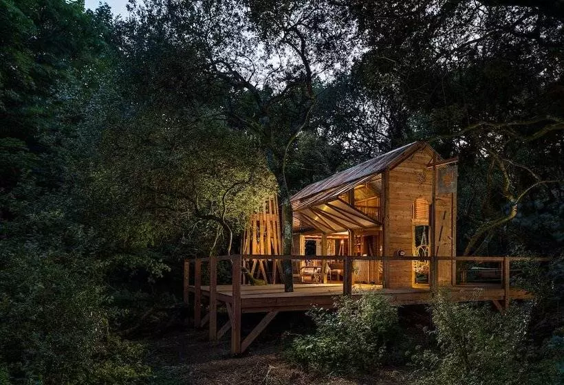 6 Person Cabin, Surrounded By Nature In Tintagel