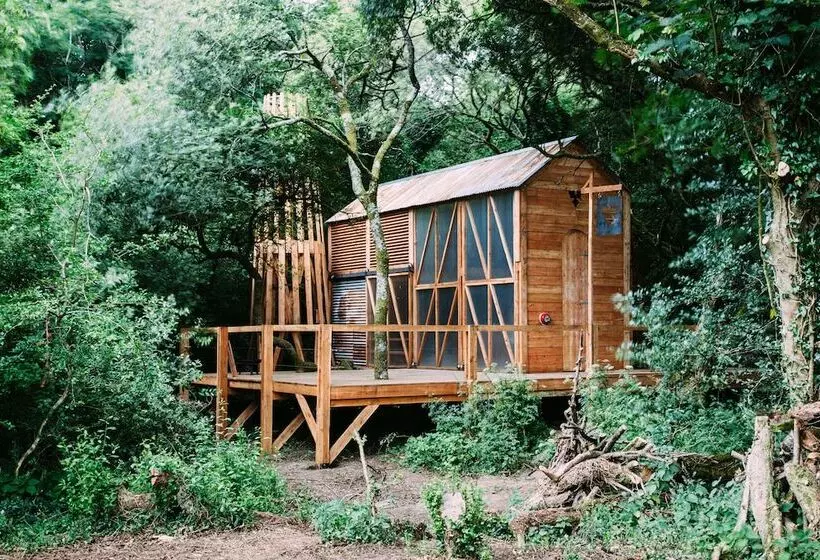 6 Person Cabin, Surrounded By Nature In Tintagel