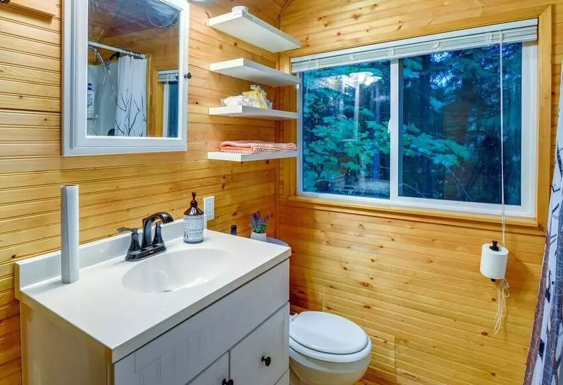 Adorable A Frame Cabin, Steps To Lake Cushman!